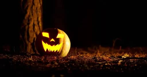 Which Halloween costume matches your personality?